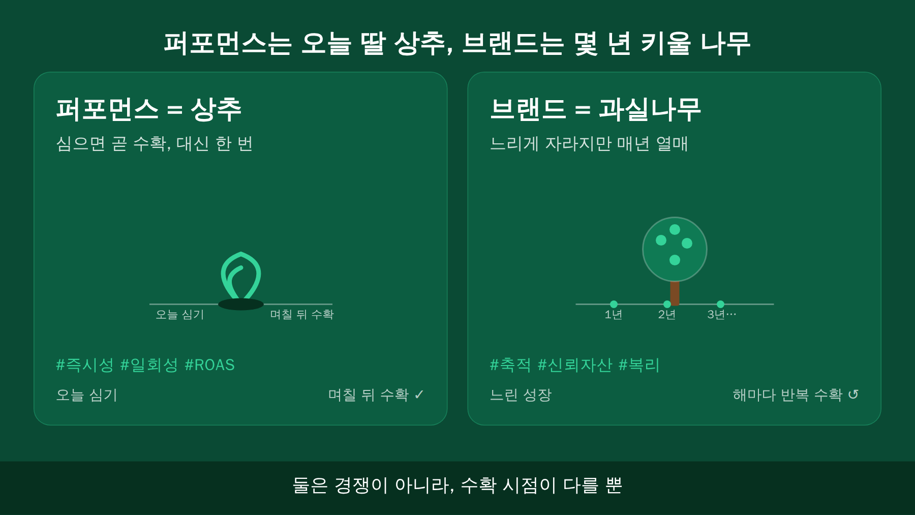 퍼포먼스 마케팅을 곧 수확하는 상추에, 브랜드 마케팅을 매년 열매 맺는 과실나무에 비유한 도식.